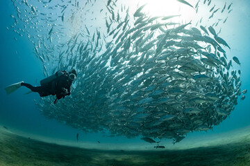 scuba diver with Cabo Pulmo jack tornado under sunny sky
