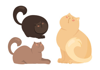 Beige and brown cat characters vector illustrations set. Collection of cartoon drawings of cute comic kittens sitting or lying isolated on white background. Pets or domestic animals concept