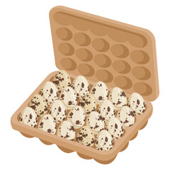 Cartoon quail eggs packaging. Eggs in cardboard box, grocery store quail eggs, organic healthy food flat vector illustration isolated on white background