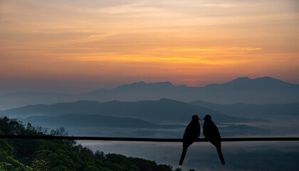 Fototapeta premium Silhouette of lovers birds isolated from a white background.