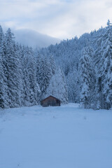 house in the mountains