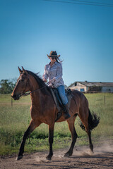 Молодая красивая тёмноволосая девушка скачет на лошади по летнему полю.