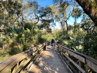 The hiking trails at a State Park in Orlando, Florida.