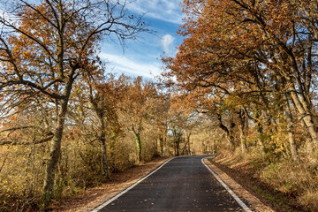 Obraz premium Carretera de Villabasil a La Cerca (Burgos)