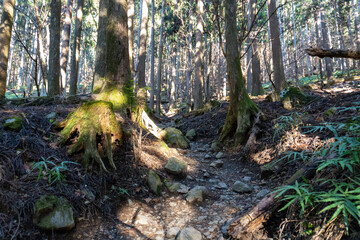 The Bukozanmitake Shrine on mountain Buko