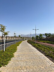 path in the park