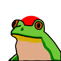 Japanese Zaporizhzhyan Frog