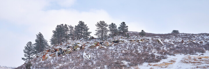 Fototapeta na wymiar winter landscape of foothills of Rocky Mountains in Colorado - Lory State Park near Fort Collins, panoramic web banner