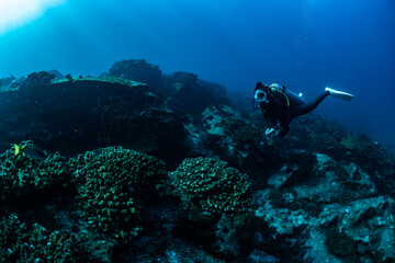 Naklejka na ściany i meble scuba diver over Cabo Pulmo reef in Baja California Mexico