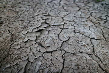 cracks on the ground desert texture background earth climate ecology