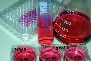 Tube, 96-well plate and beaker with culture medium containing phenol red pH indicator