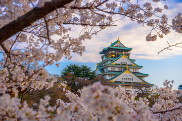Naklejka premium Osaka, Japan at Osaka Castle During Spring Season