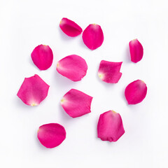 Pinks rose's petals isolated on white background.