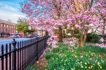 Athens, Georgia, USA in Spring