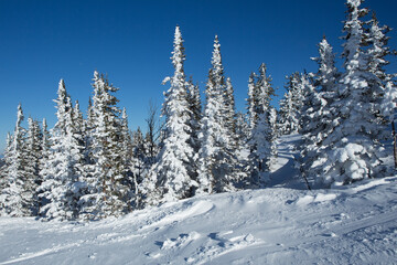 Sheregesh Kemerovo region ski resort in winter dawn sun on city, landscape on mountain and hotels, aerial top view.