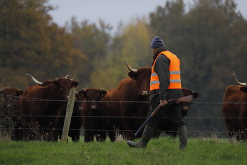 La curiosité est un vilain défaut...