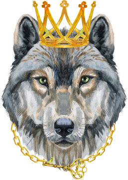 Wolf head in golden crown. Watercolor wolf painting illustration isolated