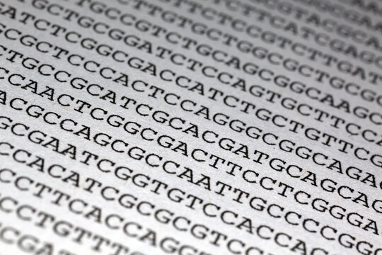 Printed DNA sequence - genomic data