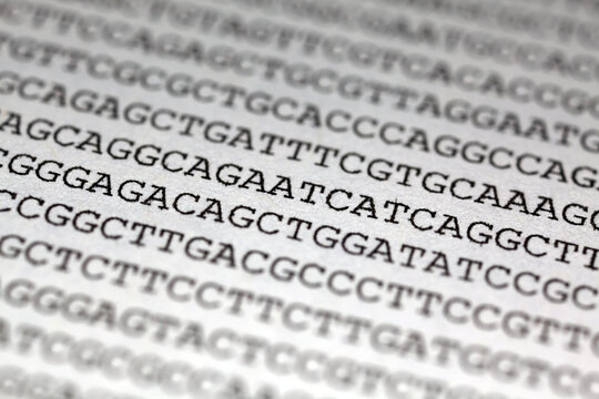 Printed DNA Sequence - Genomic Data