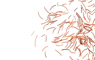 Autumn conifer leaves, needles isolated on white, top view 