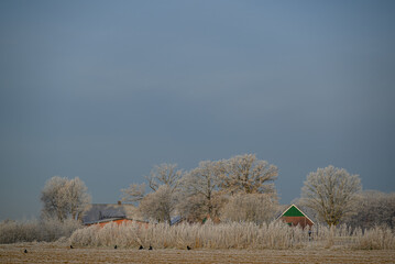 Frost im Münsterland