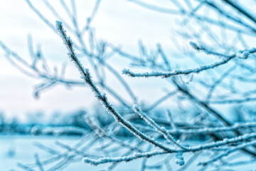 Winter Winterwonderland