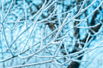 Winter Winterwonderland