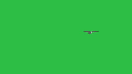 4k animated paper plane flying along with camera, changing directions, green screen in background