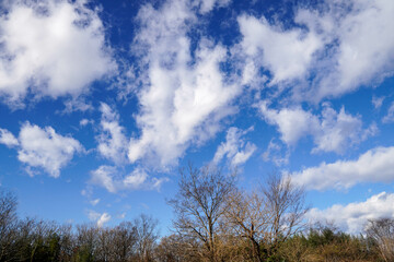 Obraz na płótnie Canvas 冬の爽やかな青空と白い雲