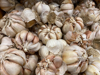 Fresh Garlic Cloves and Bulb. garlic for cooking ingredients perfect for italian food and asian food. healthy for diet.