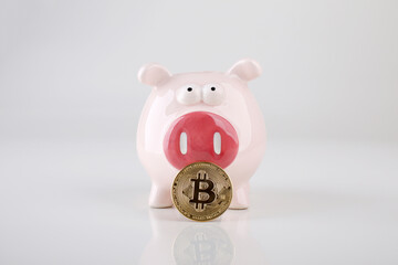 criptomoeda bitcoin BTC como reserva de valor, poupan&ccedil;a