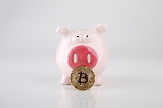 criptomoeda bitcoin BTC como reserva de valor, poupan&ccedil;a