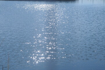 luz do sol batendo na agua do lago 
