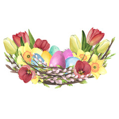 Willow nest watercolor with Tulips, daffodil, colored eggs isolated on white. Hand drawing Easter illustration design