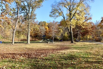 The playground in the park on a sunny day.