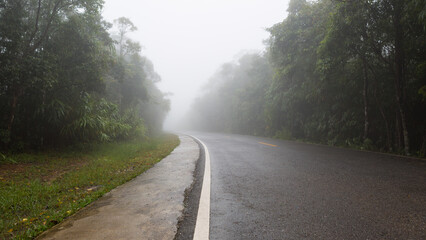 fog in the forest at Khao Yai National Park	