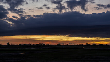 Scenery of thick clouds floating above the silhouette of trees and rice fields.