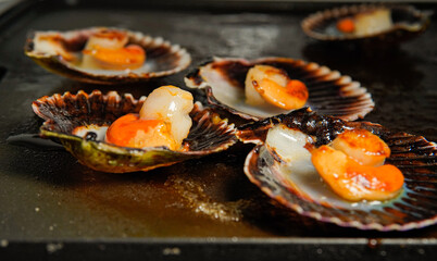 scallops cooked on the griddle. Spanish Galician cuisine