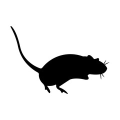 mouse icon illustration vector