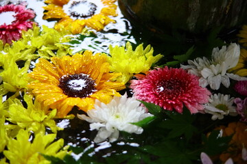 水に浮かぶ切り花