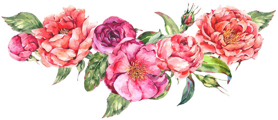Watercolor botanical rose flowers transparent png