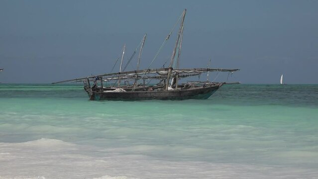 Lot of African traditional wooden boats anchored on shallow water by the beach at low tide, Zanzibar. Many old dry, fishing Dhow row boat by tropical Ocean coast. Exotic shore Nungwi, Tanzania. Africa