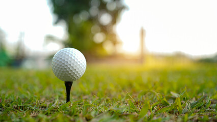 Golf ball on tee in a beautiful golf course with morning sunshine.