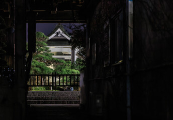Fototapeta na wymiar Dark walkway opens onto traditional Japanese garden at temple