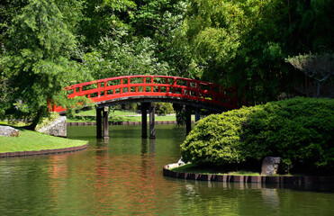 Japanese Garden