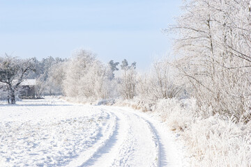 Obraz premium footpath in winter, snowy landscape, road, beautiful