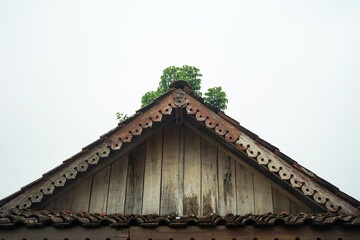 A rumah adat Jawa Tengah, also known as a rumah Joglo, is a typical dwelling in Central Java, Indonesia.