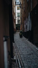 Naklejka na ściany i meble Street in Gamla Stan, Stockholm, Sweden