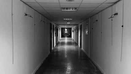 corridor in a corridor