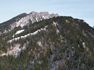 landscape with snow and trees